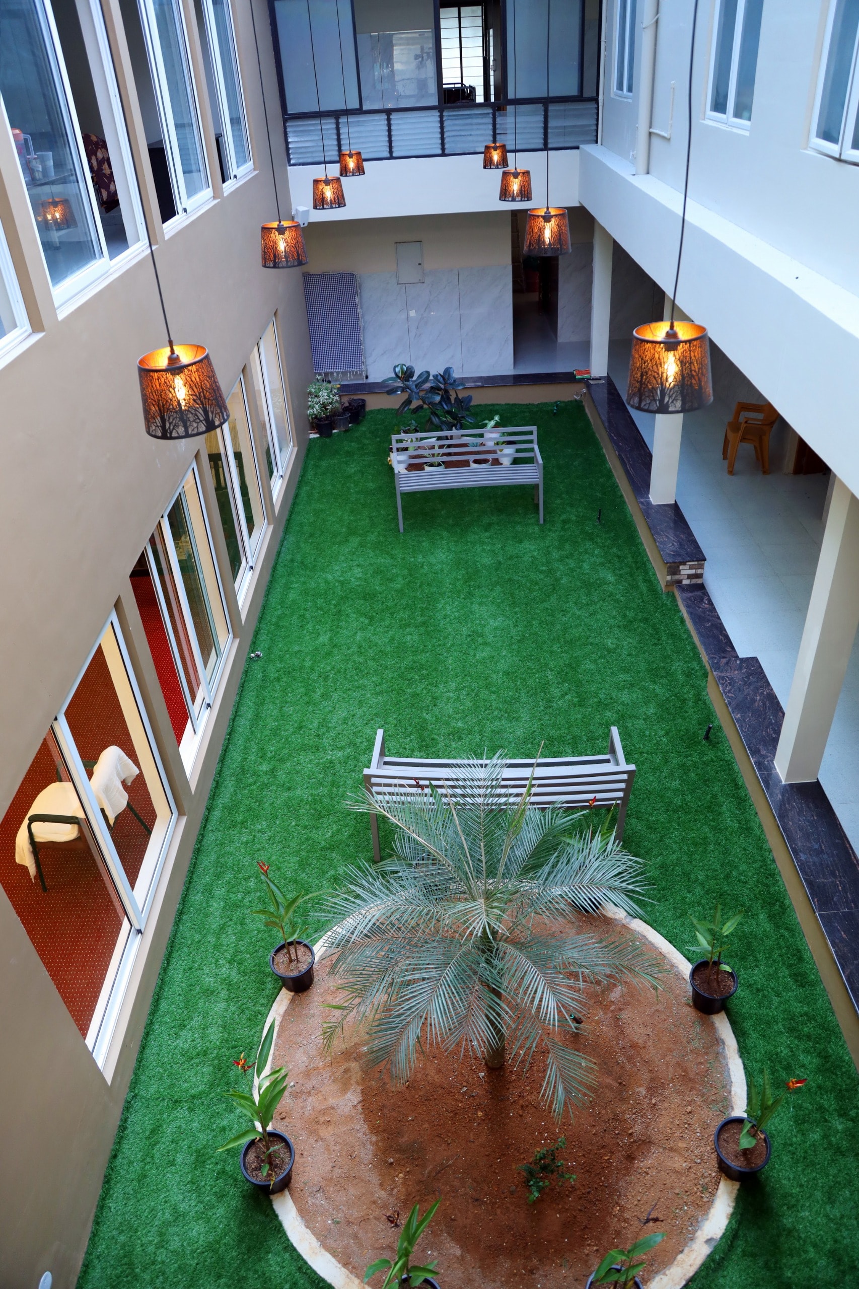 Open-air central courtyard garden with palm tree